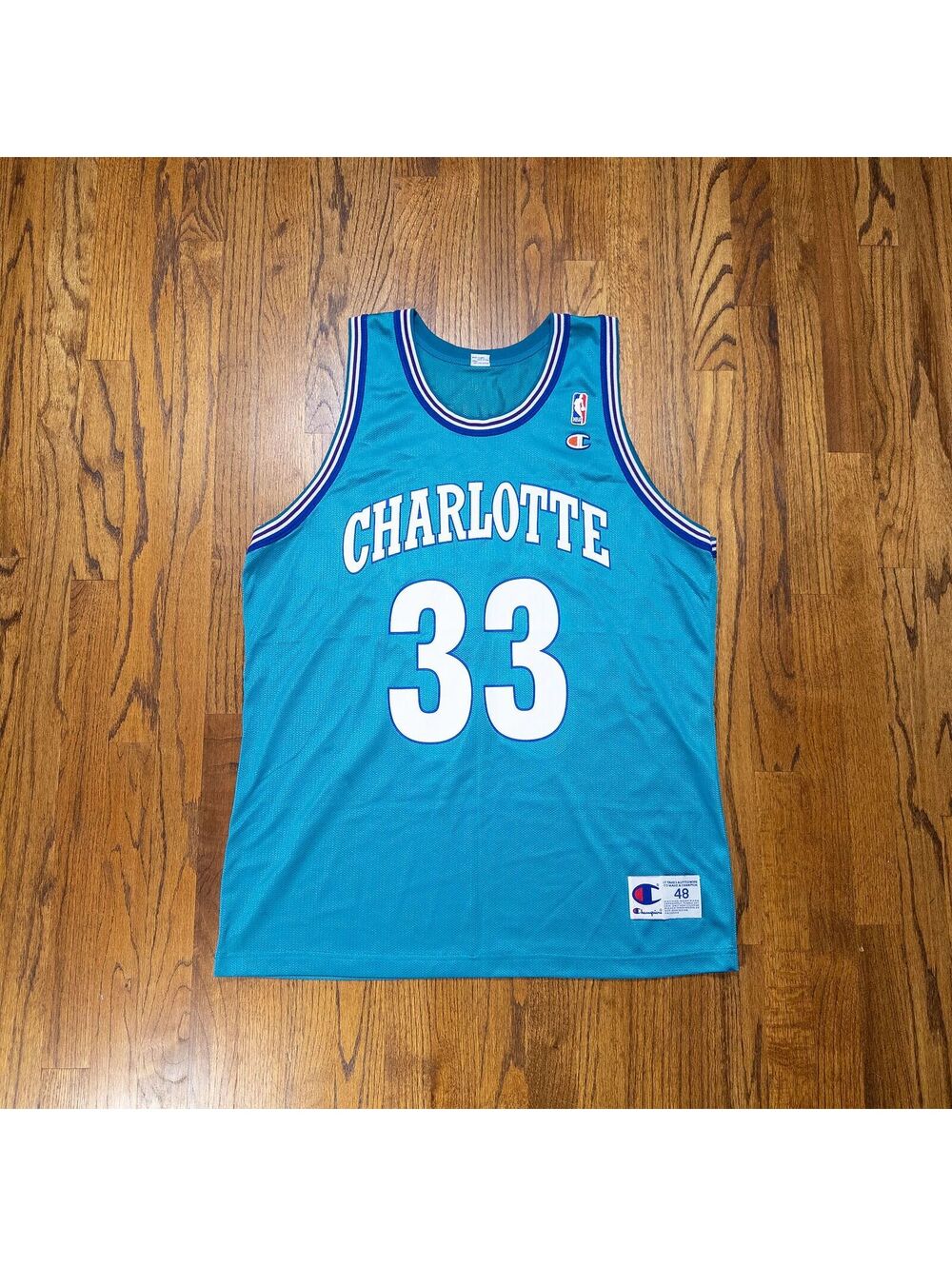 Vintage 90s Alonzo Mourning Hornets Champion Jersey • XL